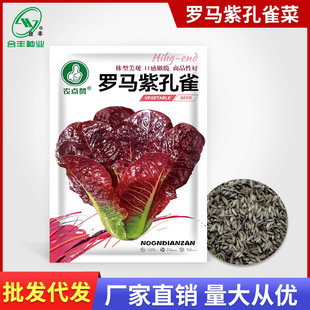 �S��ֱ�N�Ͽ�ȸ�˷N�����_�R���˰������˷N���ļ��N�߲˷N�Ӵ�ȫ