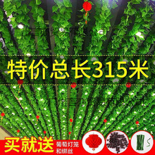 ����b��ڳ������~��������p�@�G�~�b��~�Gֲ��ٻ���