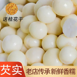 �͌����r���͌����r�u�^�����u�^���ք�ƤǷ���Č��͌�500g��؛��
