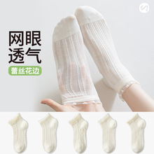 ��ɫ�m��Ů���ļ�������m�W��͸��o���m�ٽz���ݻ�߅��Ͳ�m����