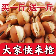 原味蚕豆四川产农家干炒铁板蚕豆胡豆兰花豆炒货休闲零食散装