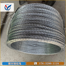 ���� ��\䓽g�� 3��䓽g�� С�P�o�S ���䓽g������