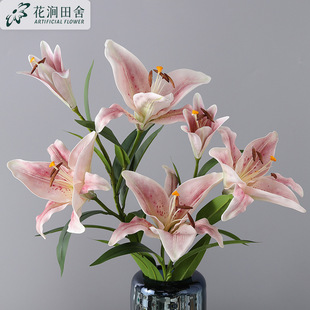 ���滨 �ͮ���ˮ�ٺ� �ҾӾƵ걱�Wܛ�b��̻�c�[�������ٻ�