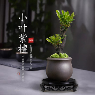 С�~��̴�辰���������Ϙ��͏d�k���ҾGֲ���҃Ȼ��ļ����B�ڹǲ�