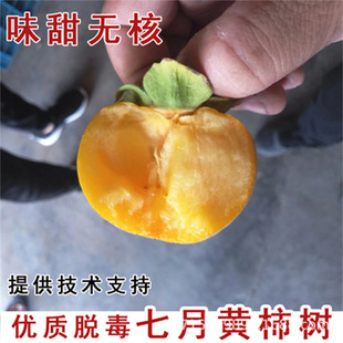 �޽������Ә���o�˴��������������ĥ�P������ϱ����Nֲ������