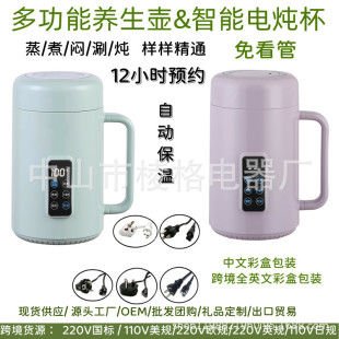 Portable electric cooker 110V small smart household health Cup integrated stew pot cross-border electric cooker electric stew Cup