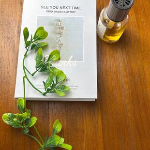 lֲbˮݷ滨~ײֲb~