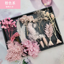 ��ɫϵ�������滨�ɻ�diy���ϰ��ֹ��������F�ȈF����ָ�ػ���