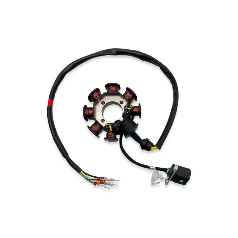 Suitable for Extreme Thieves Boserkevis Zongshen Cbs300/Nb300 Engine 8-Level 12-Level Magnetic Steel Coil