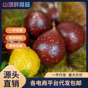 ���ڽ��T��ɽ�F��5���������r����Ұ���r��ë����10���l���]���l