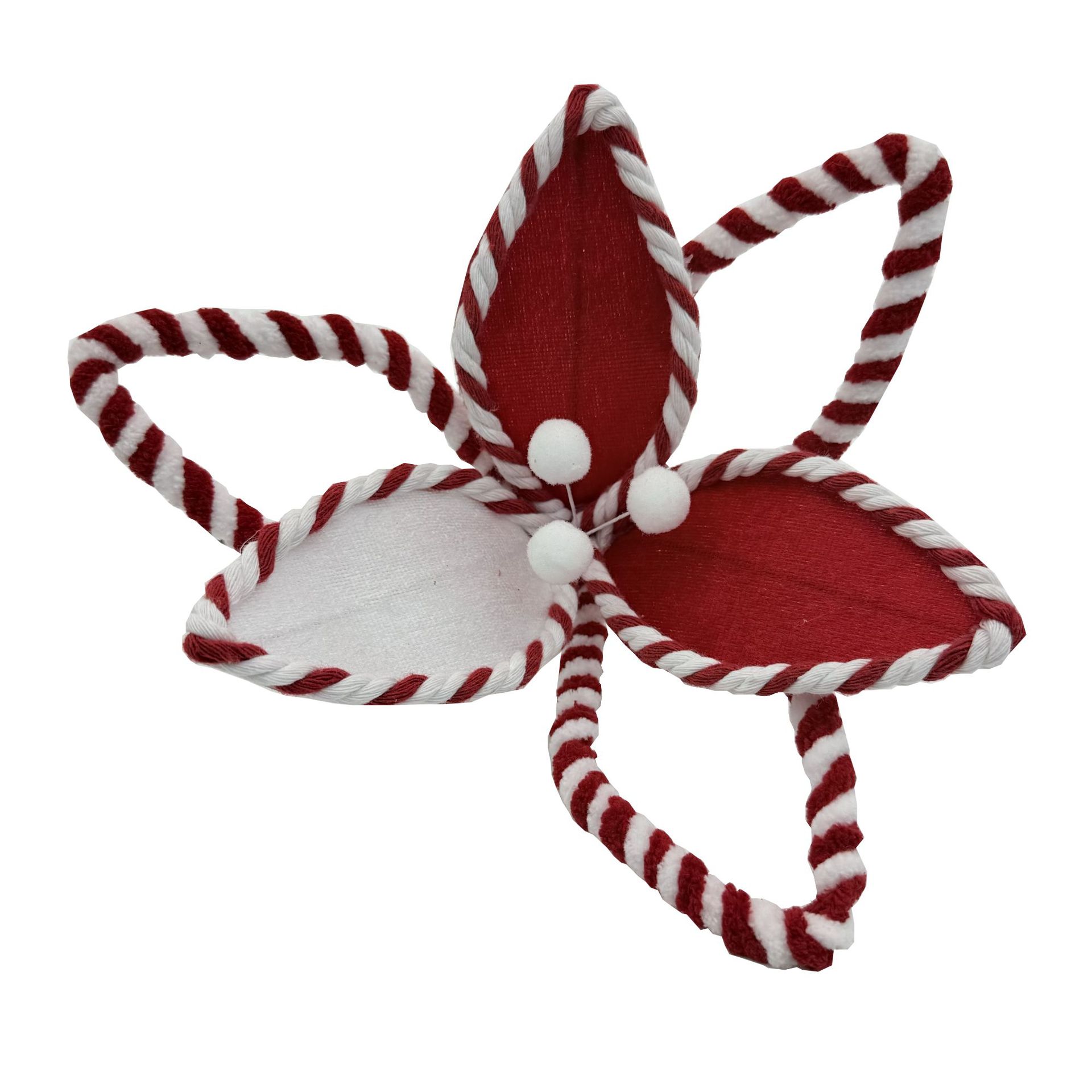 여섯 개의 꽃잎이 있는 꽃