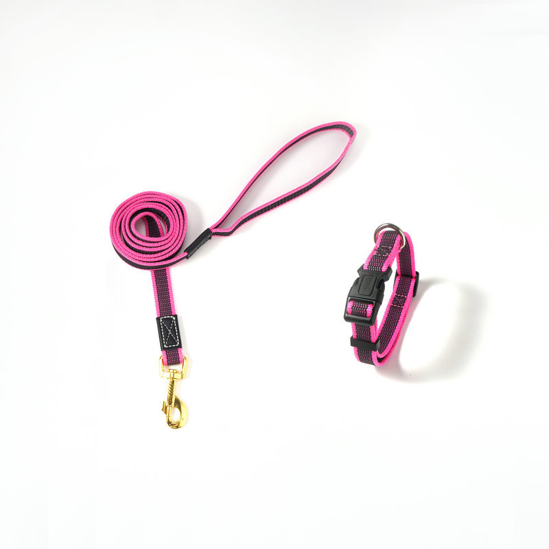 핑크 견인 로프 + 칼라
