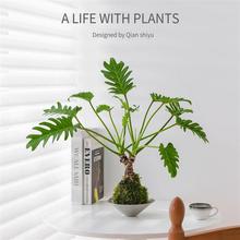 ���[С��ʹ̦�\��ֲ�������҃��k�������˾Gֲ���B�o�׻�W�t�辰