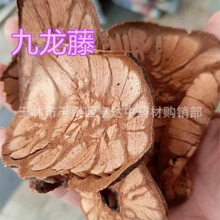 ������ ����β �w�P�� ������ �����L ������