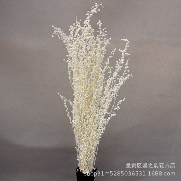 화이트【50-60g】