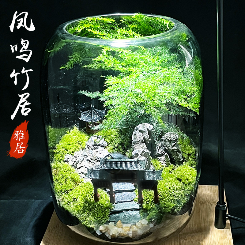 [bamboo Garden] Creative Moss Micro Landscape Ecological Bottle Lazy Office Potted Plant Finished Product Fresh Green Plant Easy to Maintain