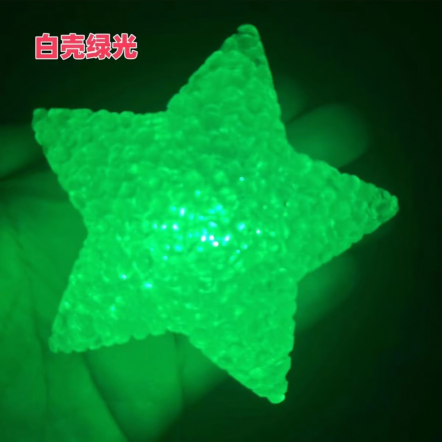 Luz LED de Pulsera con Forma de Estrella de PP para Fiestas y Eventos image 13
