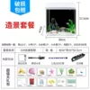 R620 landscaping version+delivery fish gift package