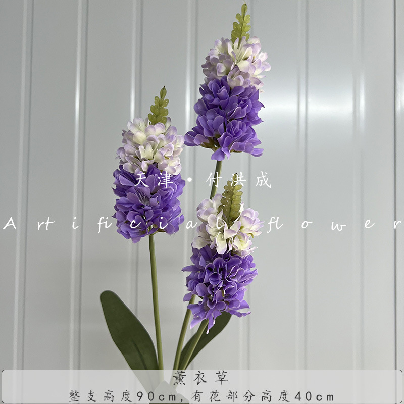 라벤더-라이트 퍼플