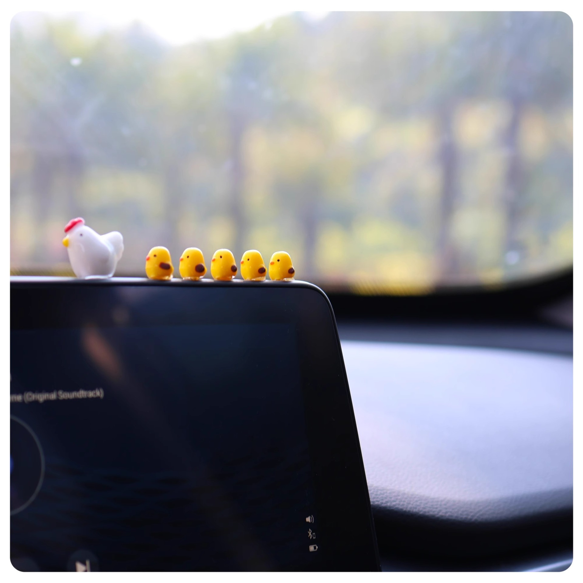 gG2cif6jytS1r/S4Pw3jvBbRyFQmUbaThciz