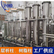 304不锈钢层析柱 316L不锈钢吸附分离层析柱 分离系统层析柱