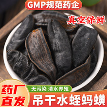 水蛭干蚂蝗干正品非生菲牛蛭中药材非水蛭素胶囊非冻干粉代客打粉