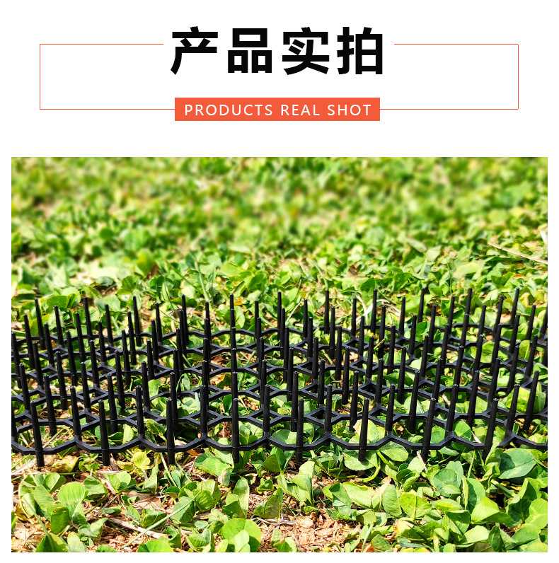 长方形仿猫垫 (9)