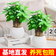 ����ֱ�l3�U�lؔ��ΗU�����҃��k���Һ��Bˮ�����U�����ļ�