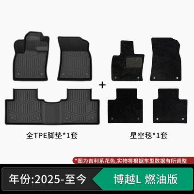 made of car-grade eco-friendly material, Modelə uyğun ayaqaltı - 25-models-of-geely-boyue-l-4th-generation-gasoline-version-tpe-floor-mats-starry-sky-velvet-carpet