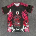 Japan 25