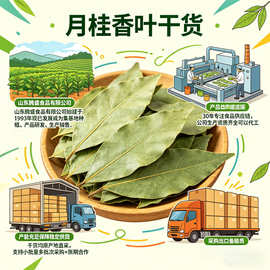 香叶月桂叶批發散装干货香辛料大全批发调料香料餐饮调味料商用