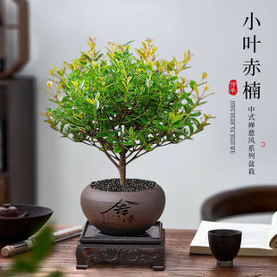 С�~����辰�Ϙ�����ֲ���k�����҃Ȼ��������ļ�������B�Gֲ