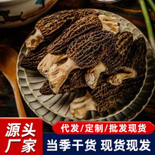 羊肚菌产地直发新货干货一斤大号剪柄食用菌菌菇煲汤食材批发厂家