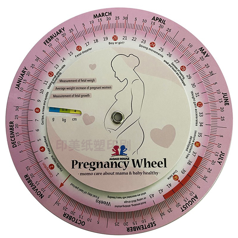 英文规盘纸制加