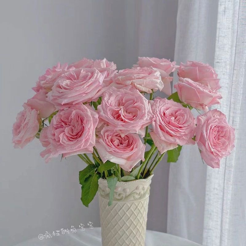 17073b2f-3126-45be-a559-632e72445b39.jpe