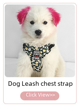 Dog Harness Leash
