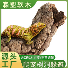 葡萄牙软木爬宠香槟树洞睫角守宫树蛙躲避树桶鱼缸雨林缸造景树皮