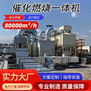 加工定制催化燃烧一体机废气处理设备厂家供应一体废气处理设备