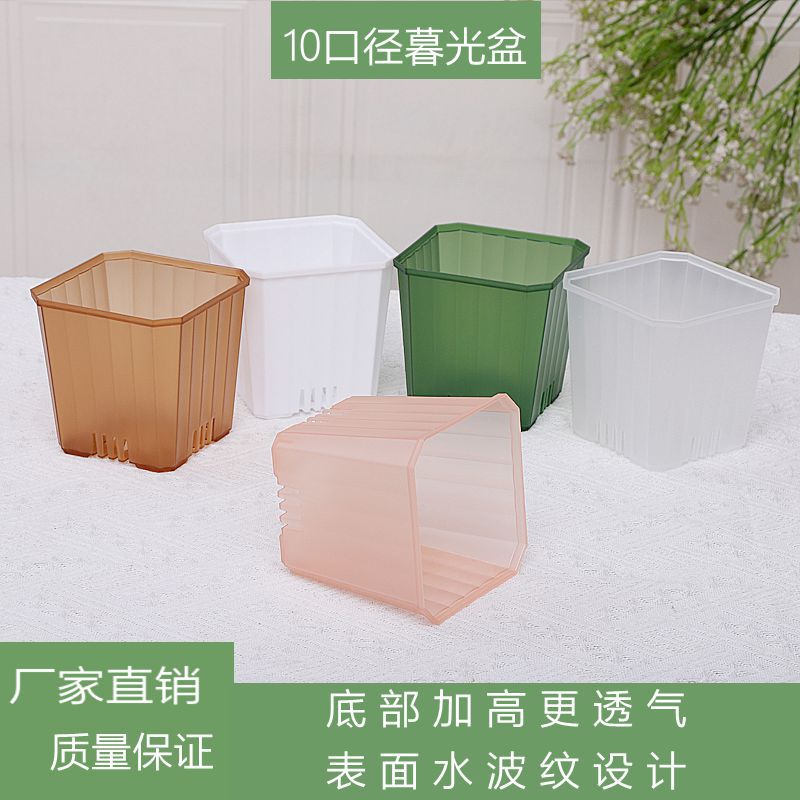 10口暮光盆仙人球玉露盆塑料花盆生石花肉锥育苗盆多肉多肉盆景