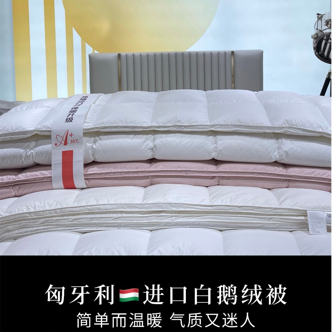 High value goods! 100S Imported Hungary Goose down is fluffy Star hotel Down quilt Winter