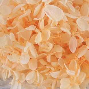 B������ľ�����������ĉ��ý���u׃ɫ����ɻ����r��100g/�����l