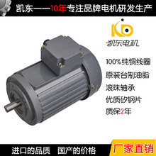 廠家批發工業烤箱耐高溫電機180W高溫高濕電機380V三相異步電動機