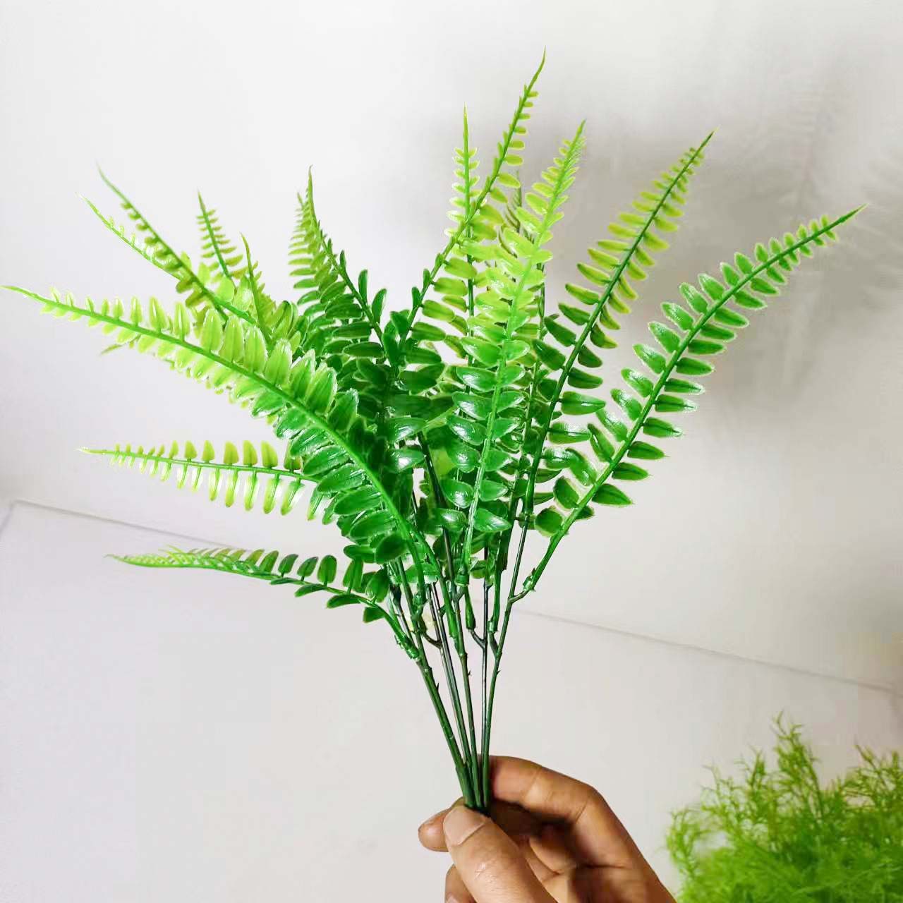 微信图片_20240229204831