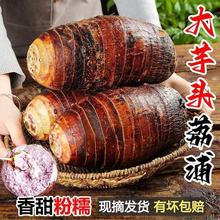 正宗广西荔浦芋头蔬菜特大槟榔芋香芋毛芋种植基地新鲜采挖现发1