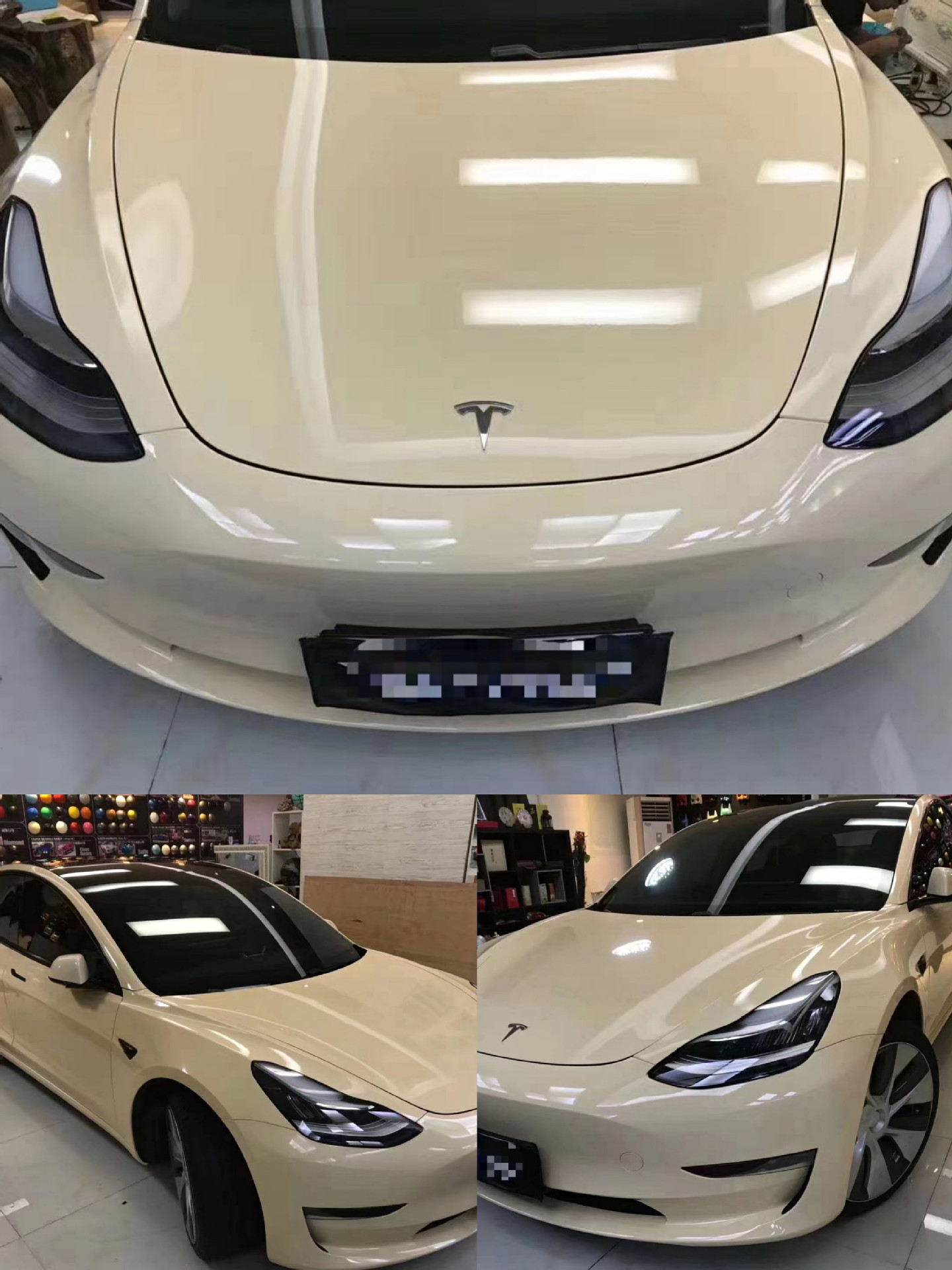 PET 크리스탈 데저트 옐로우