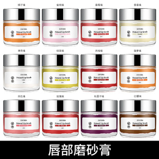 Cross-border ENVISHA Lip Scrub cream Lip Scrub 30g
