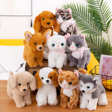 2021�¿���湷����؈��ż�������ɰl������ë�q��߃�ͯ�Y�����l