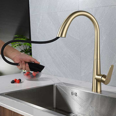 Foreign trade gun gray kitchen pull-out faucet hot and cold water omnidirectional single bowl dual-mode faucet gold white
