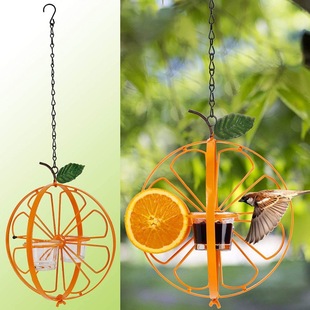 hummingbird feeder�S�Z���Bιʳ����ɫˮ�����L�������⻨�@ι�B