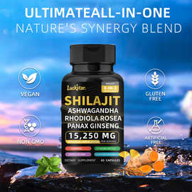 跨境OEM海藻胶囊复合维生素海苔胶囊TK热销品Sea Moss capsules